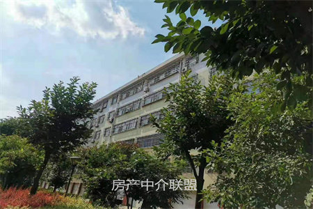 实验中学附近嘉和中央公馆电梯房94平三室68万可分期